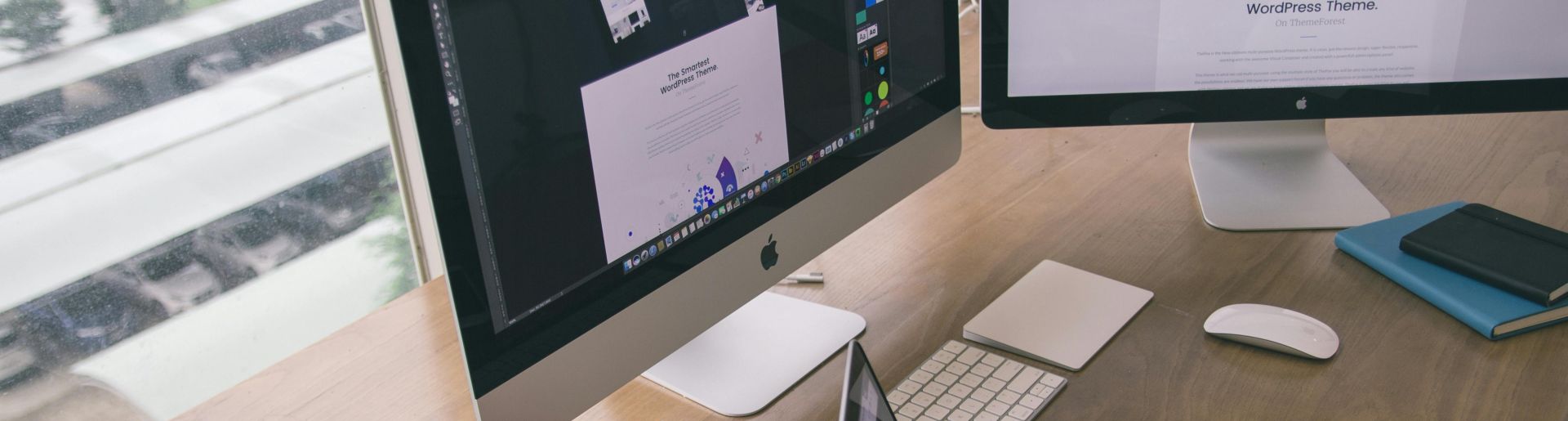 Sleek office desk setup featuring Apple computers and greenery for a modern work environment.